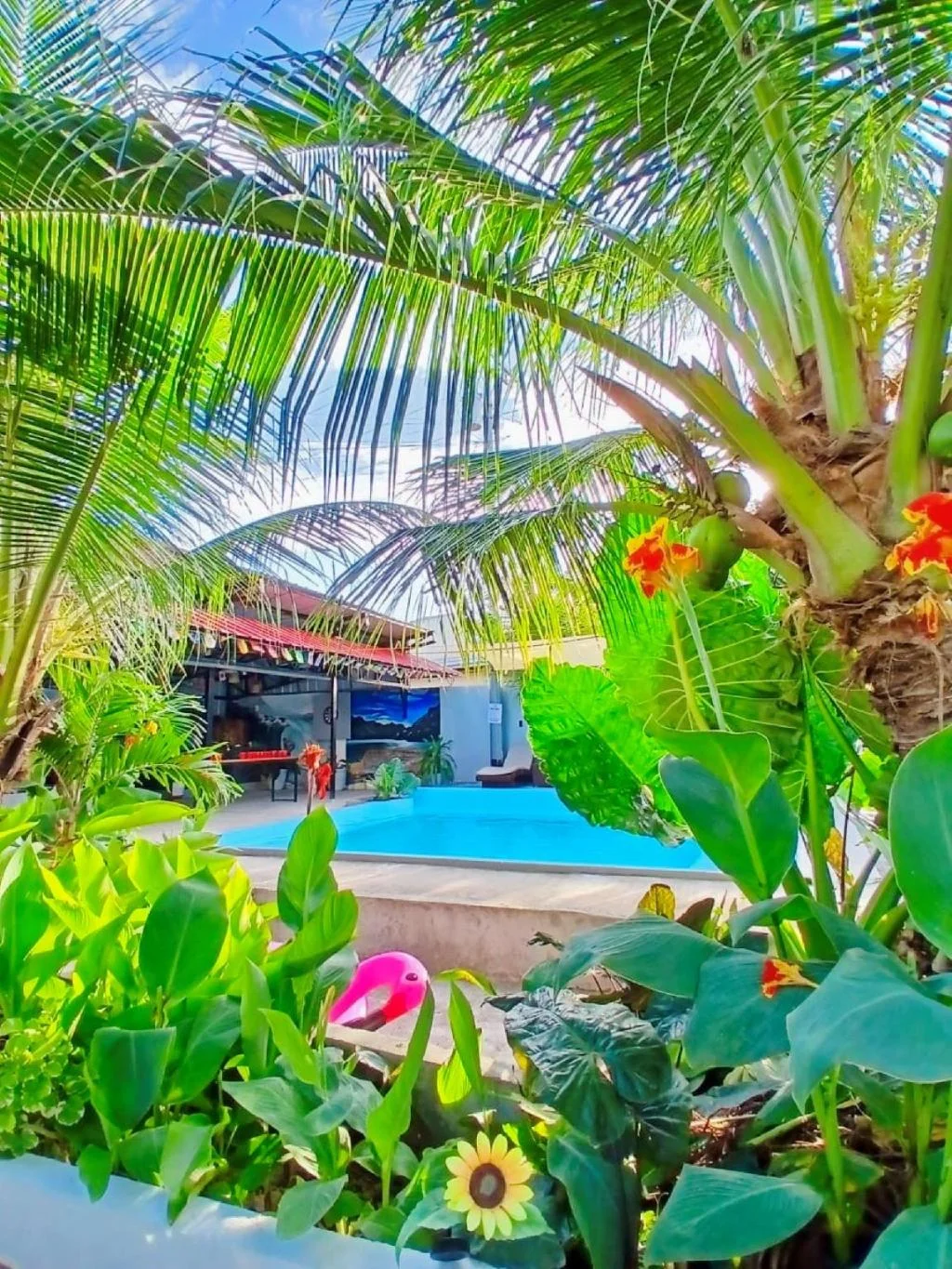 Ananas Guesthouse