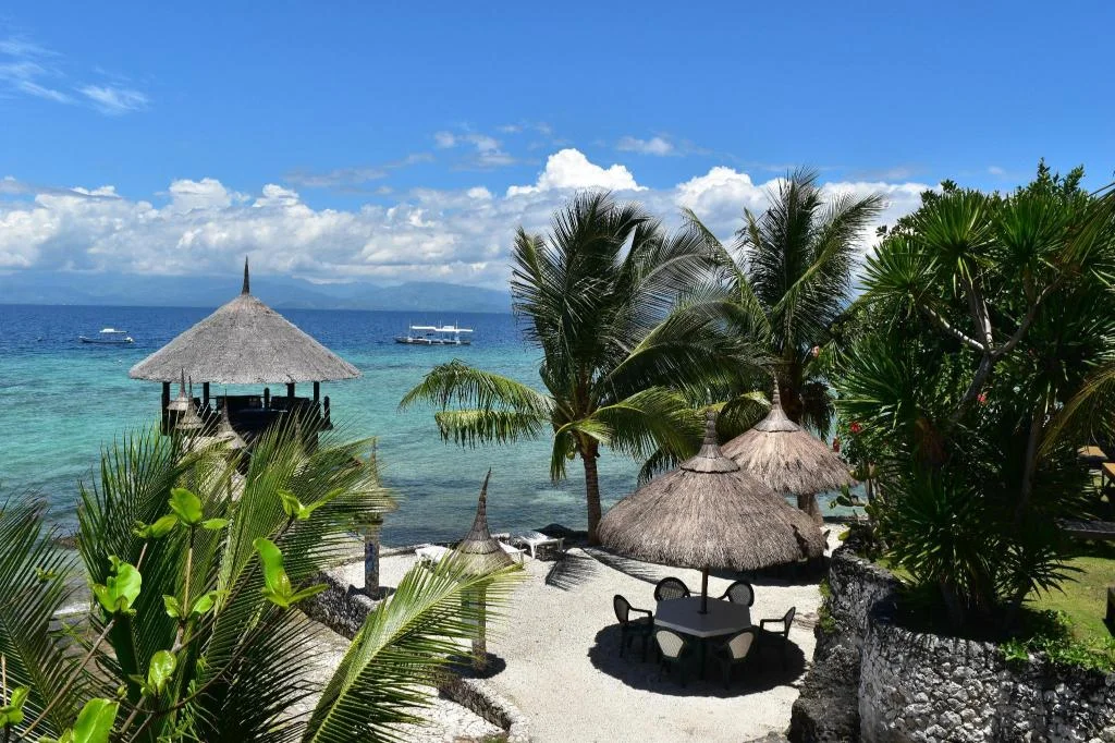 Dolphin House Resort Spa Diving