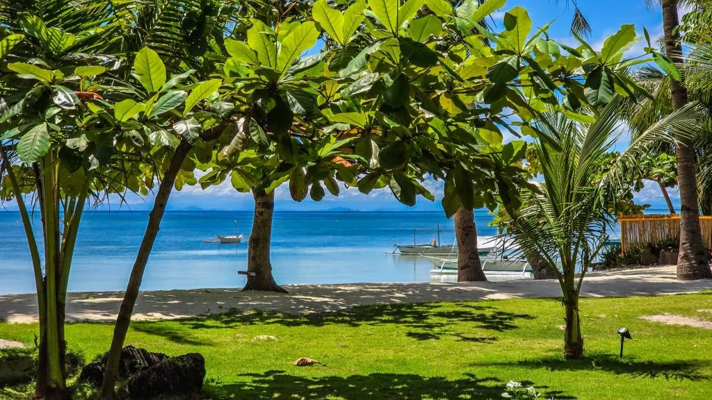 Lazy Coconuts Beach Huts