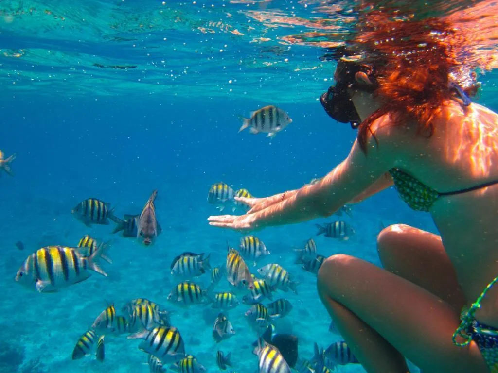 Parrot Resort Moalboal